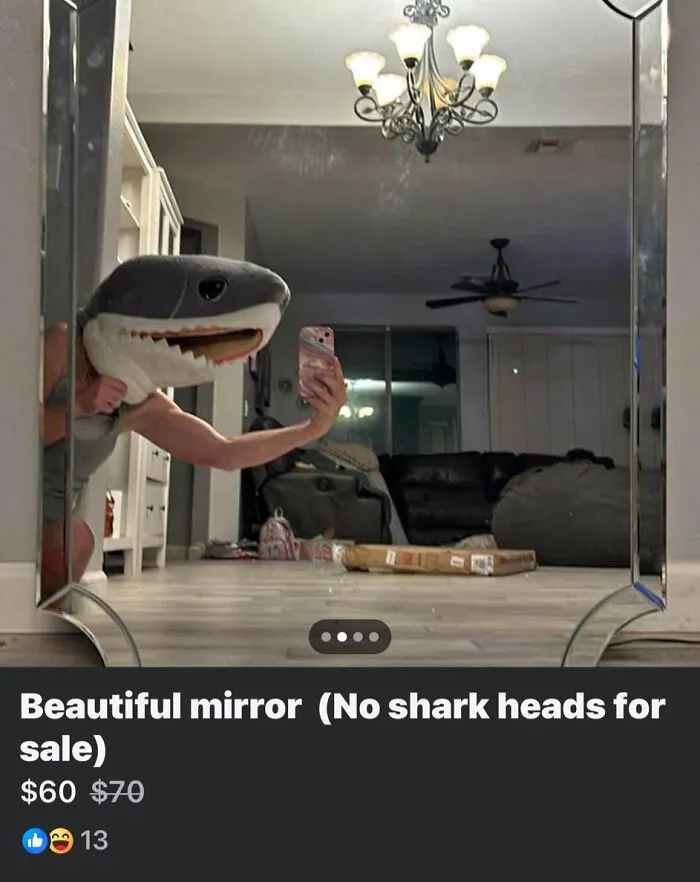 She Had Several Pics And A Video Of A Dog Rummaging Through The Trash On The Floor And Their Man Was In The Back, Which I Found To Be Entertaining