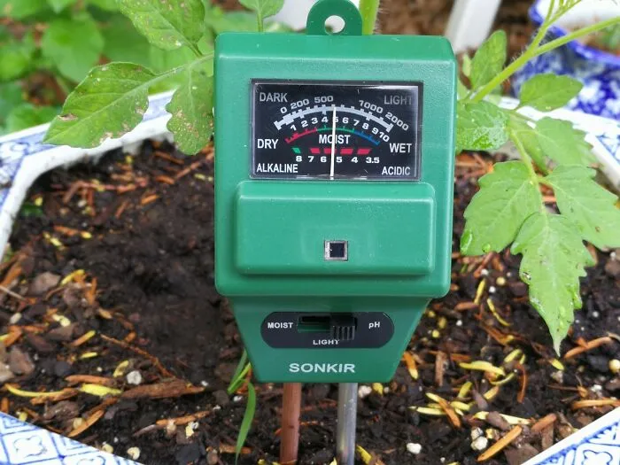 Your Plants Have Been Silently Judging Your Soil's Vibes, But Now You Can Get The Real Dirt On What They Crave With This <a Style="Display:inline;" Href="Https://Www.amazon.com/Sonkir-Soil-Moisture-Tester-Gardening/Dp/B07br52p26?ie=utf8&linkcode=ll1&tag=bpowl-20&linkid=fd702d111f713d167591c0230c96dcf4&language=en_us&ref_=as_li_ss_tl" Target="_blank"><span Style="Font: Inherit; Color: #d74b1f;"> Soil Ph Meter </Span>, So You Can Finally Stop Guessing Why They're Being So Dramatic