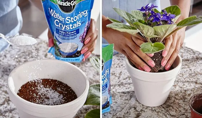 Your Plants Are About To Experience That Glorious, Always-Hydrated Feeling, Even If You're A Bit Forgetful, Because These <a Style="Display:inline;" Href="Https://Www.amazon.com/Dp/B0042yyvyg?ascsubtag=7875830%2c9%2c35%2cd%2c0%2c0%2c0%2c1396%3a1%3b900%3a2%3b974%3a1%3b1338%3a1%2c62668385%2c0%2c0%2cgoogle&btn_ref=srctok-C9a22741231dac9e&th=1&linkcode=ll1&tag=bpowl-20&linkid=26ccec31e5d8b0d3900c689ca4785f2c&language=en_us&ref_=as_li_ss_tl" Target="_blank"><span Style="Font: Inherit; Color: #d74b1f;"> Miracle-Gro Water Storing Crystals </Span> Act Like A Personal Water Cooler For Their Roots