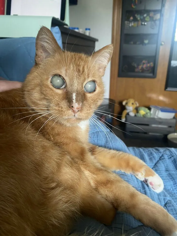 Being Blind Does Not Stop Him