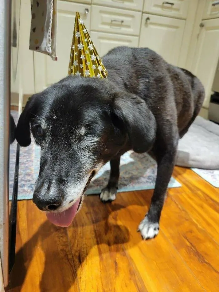 Our Molly