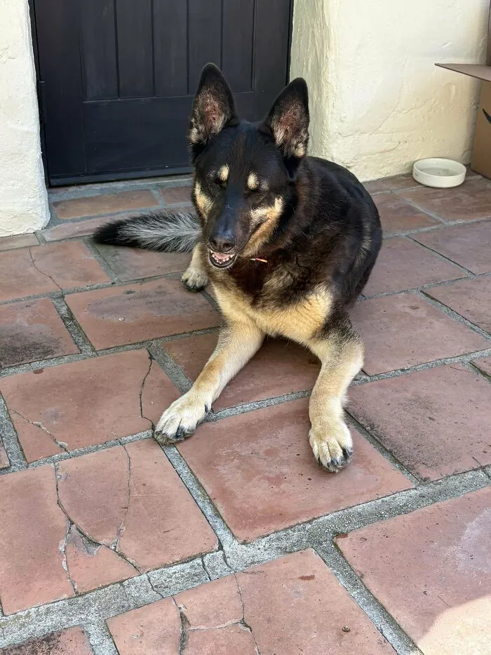 Just Adopted This 13 Year Old Girl