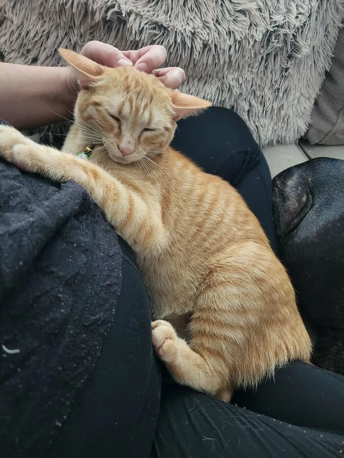 A Victory! She's Cuddling!