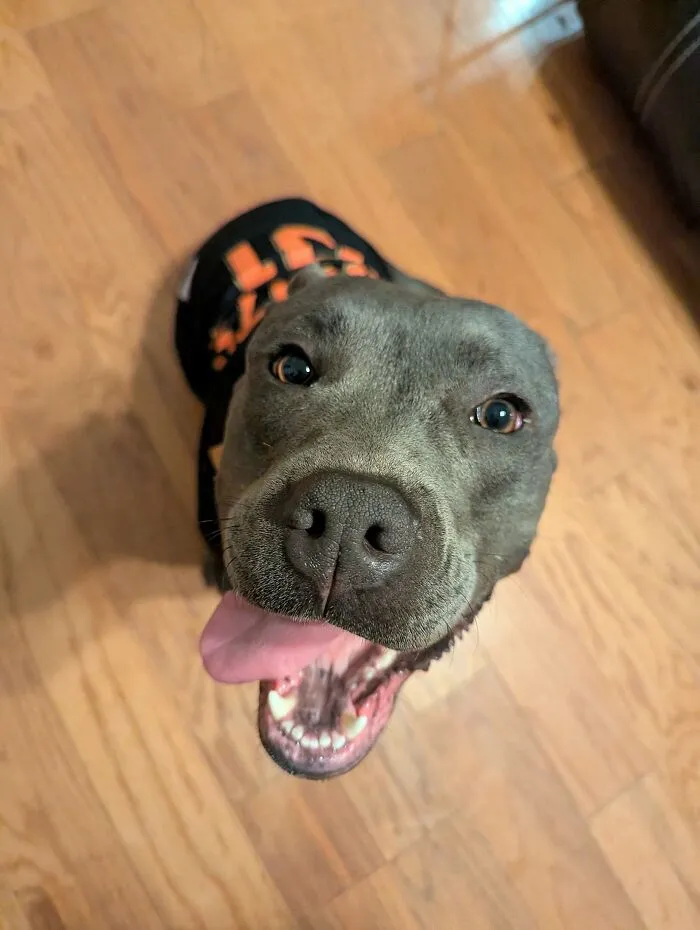 Meet Nala!