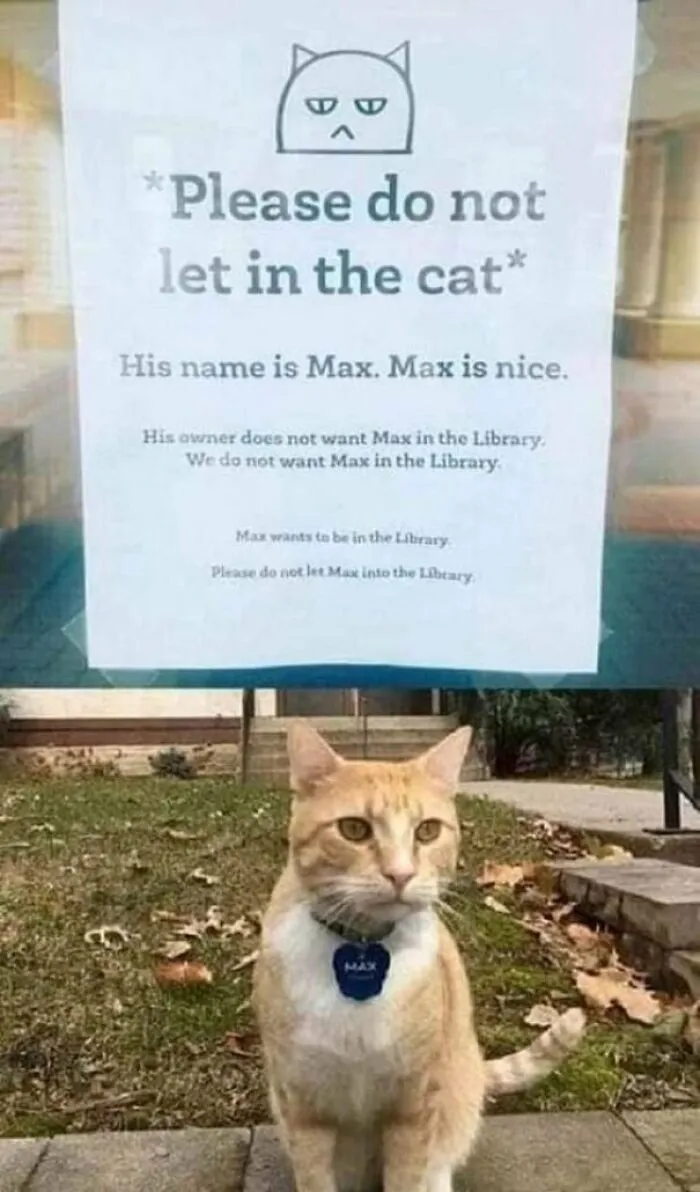 FU Max
