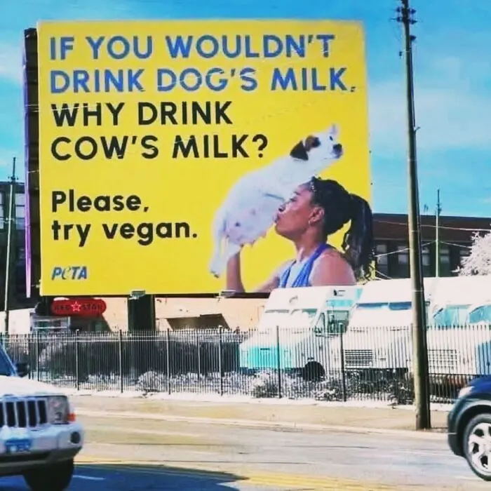 This Group Shames People Who Had Dumb Opinions, Here Are The 50 Most Unhinged (New Pics)
