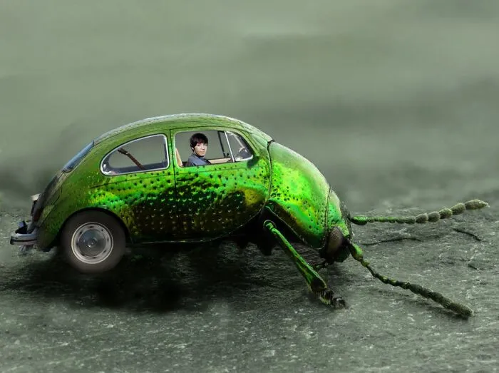 I Photoshopped A Beatle Into A Beetle Into A Beetle