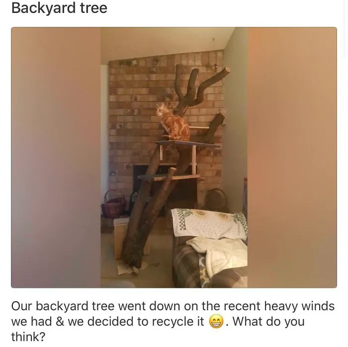 Cat Tree!