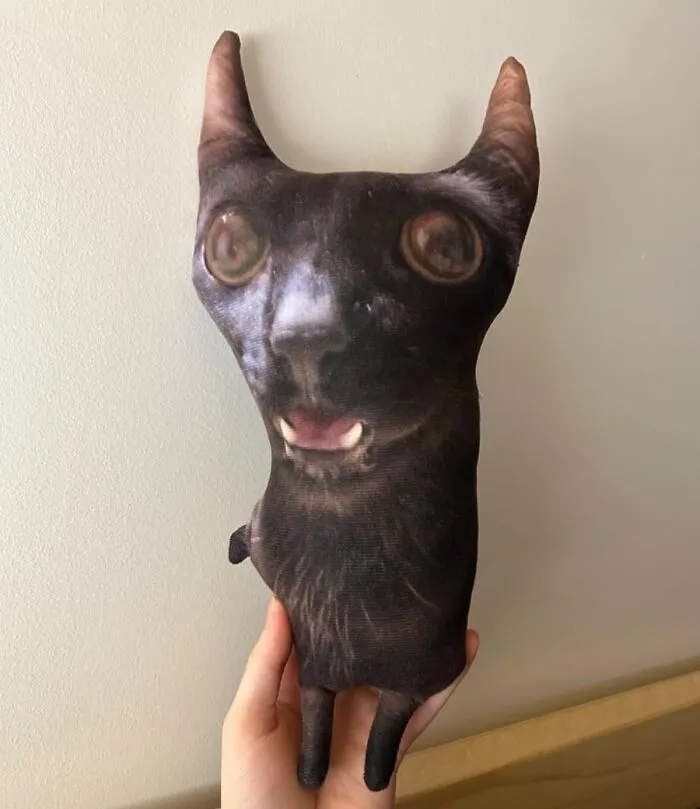 For The Pet Whose Face Has More 'Character' Than A Reality TV Show Villain, <a Style="Display:inline;" Href="Https://Www.amazon.com/Fetnhu-Customized-Abstract-Personalized-Pillow-No/Dp/B0d3hqpgfd?ie=utf8&linkcode=ll1&tag=bpyak-20&linkid=e6ba97474d467a6d34f66e3a3e22fd60&language=en_us&ref_=as_li_ss_tl" Target="_blank"><span Style="Font: Inherit; Color: #d74b1f;"> This Ugly Pet Pillow</Span> Is Your New Favorite Oddly Adorable Lounging Companion