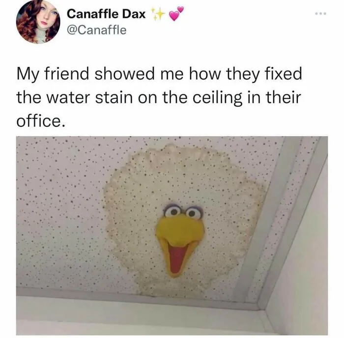 Why Shouldn't You Do This?