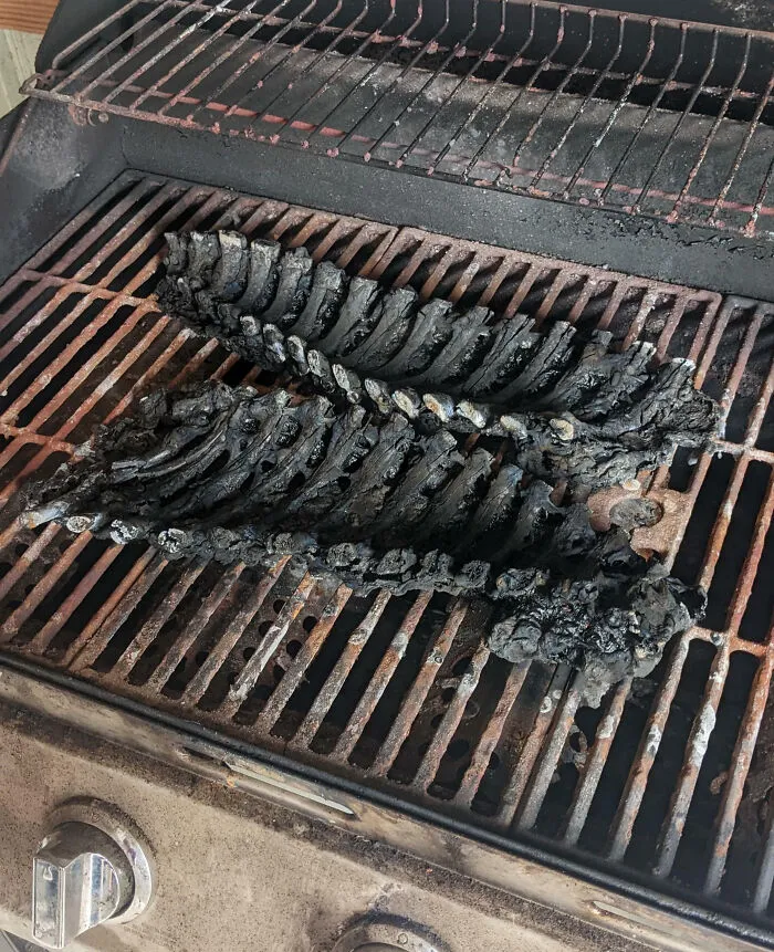 There Was An Attempt To Grill Some Ribs