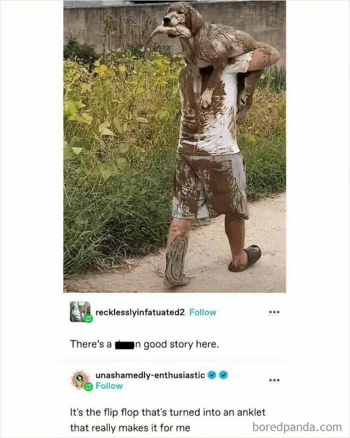 These 50 Hilarious Animal Posts Are Why We Don’t Deserve The Internet, Or Pets, Or Peace