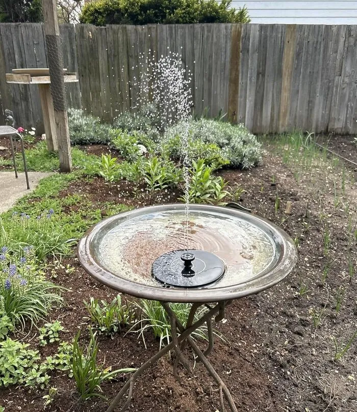 Your Backyard Birds Are About To Upgrade From A Puddle To A Veritable Avian Spa, Complete With A Charming Water Feature, Thanks To This <a Style="Display:inline;" Href="Https://Www.amazon.com/Mademax-Fountain-Upgrade-Standing-Floating/Dp/B085c5lqn3?ie=utf8&linkcode=ll1&tag=bplion-20&linkid=0174cb55cd769c2887a6dc8551d204b8&language=en_us&ref_=as_li_ss_tl" Target="_blank"><span Style="Font: Inherit; Color: #d74b1f;"> Solar Bird Bath Fountain </Span>