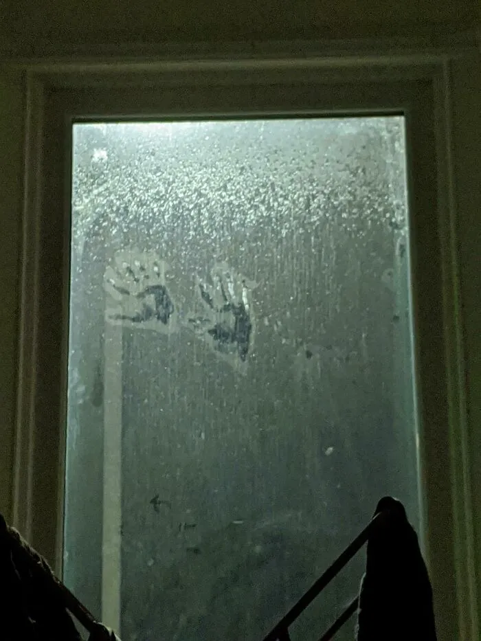 Someone Was Outside Our Window Last Night. This Is About 16ft Off The Ground