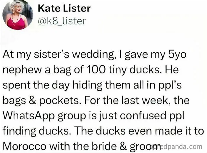 Tiny Child + Tiny Ducks = F**king Chaos