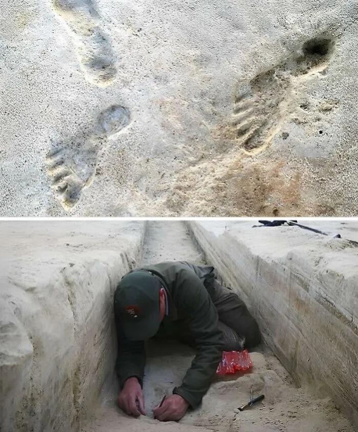 Incredible Ancient Discoveries That Might Change How We See History (New Pics)