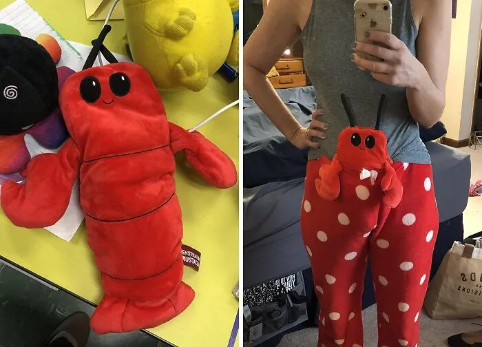 Your Bestie's Period Experience Is About To Get A Whole Lot More Surreal And Cuddly With <a Style="Display:inline;" Href="Https://Www.amazon.com/Menstruation-Crustacean-Lobster-Removable-Lavender/Dp/B09ptgq4ck?ie=utf8&th=1&linkcode=ll1&tag=bpsheep-20&linkid=c8a819af0ec43a22451c0babf5fe36f3&language=en_us&ref_=as_li_ss_tl" Target="_blank"><span Style="Font: Inherit; Color: #d74b1f;"> This Menstruation Crustacean Lobster</Span>, The Only Shellfish Qualified To Deal With Those Monthly Tides