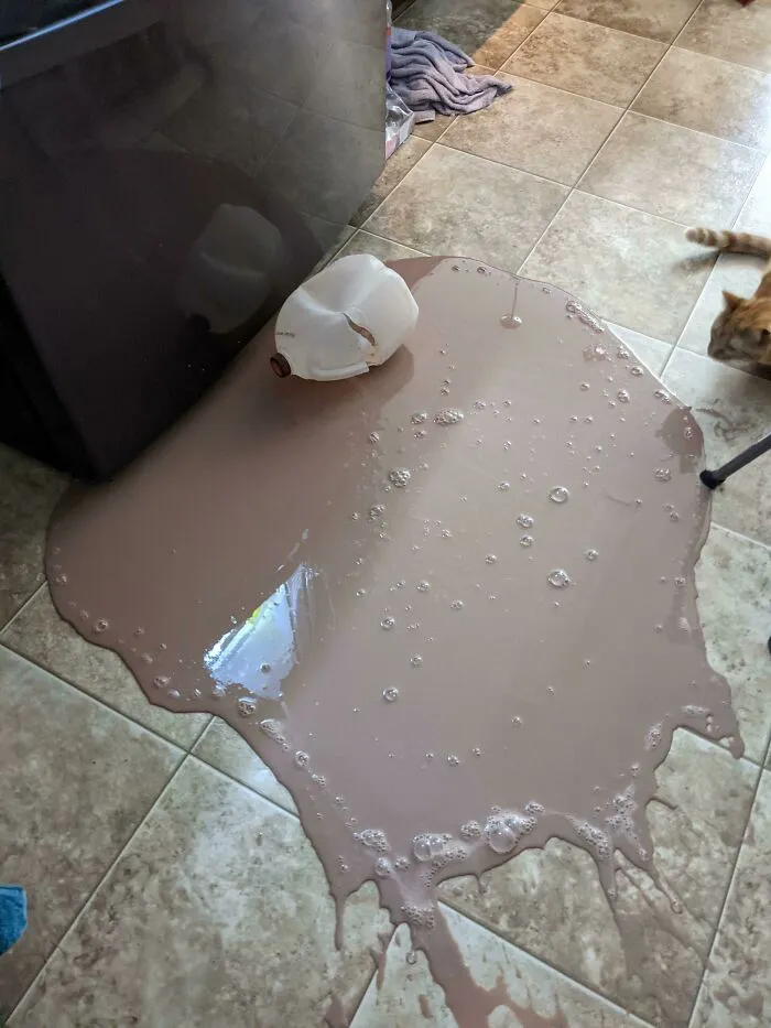 Acababa de comprar una botella de leche chocolateada para los niños