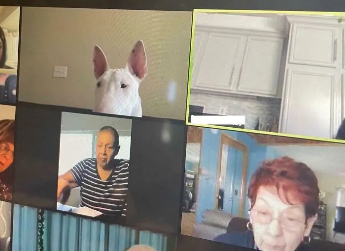 When You Step Away From A Zoom Meeting And Leave Your Camera On