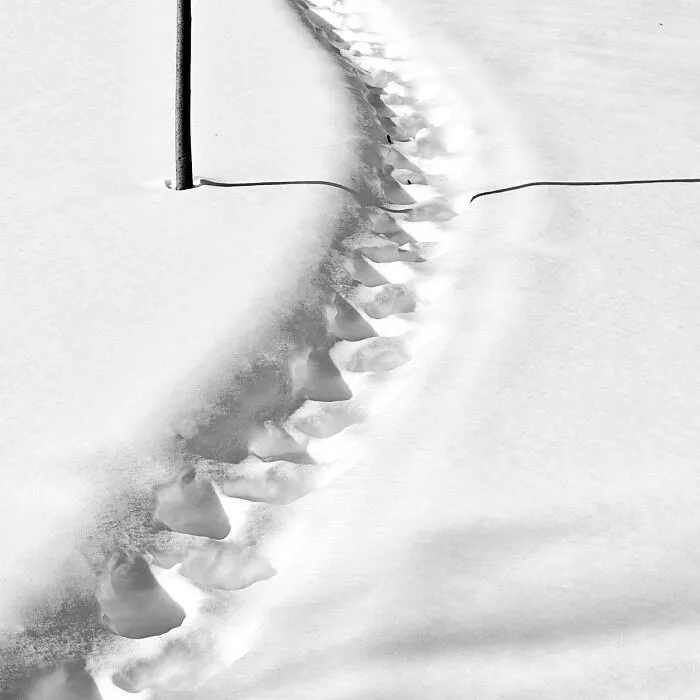 Snowbound No. 3 From The Series Snowbound By Patrick Cicalo