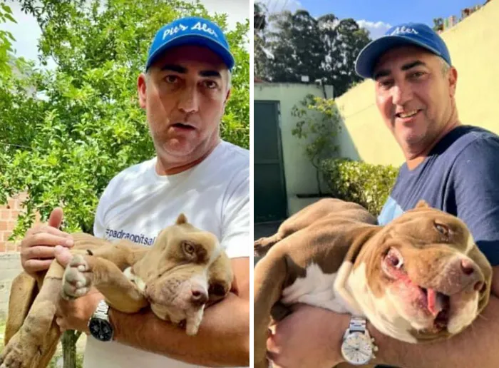 35 Unforgettable Dog Before-And-After Transformations That Show The Power Of Compassion