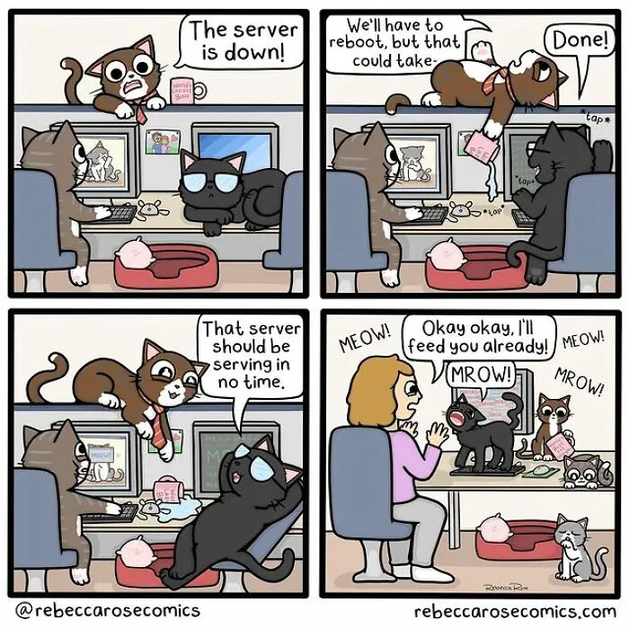 20 New Comics By Rebecca Rose That Turn Life’s Awkward Moments Into Laugh-Out-Loud Situations