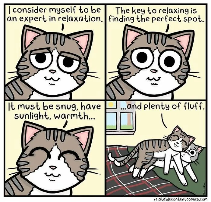 20 New Comics By Rebecca Rose That Turn Life’s Awkward Moments Into Laugh-Out-Loud Situations
