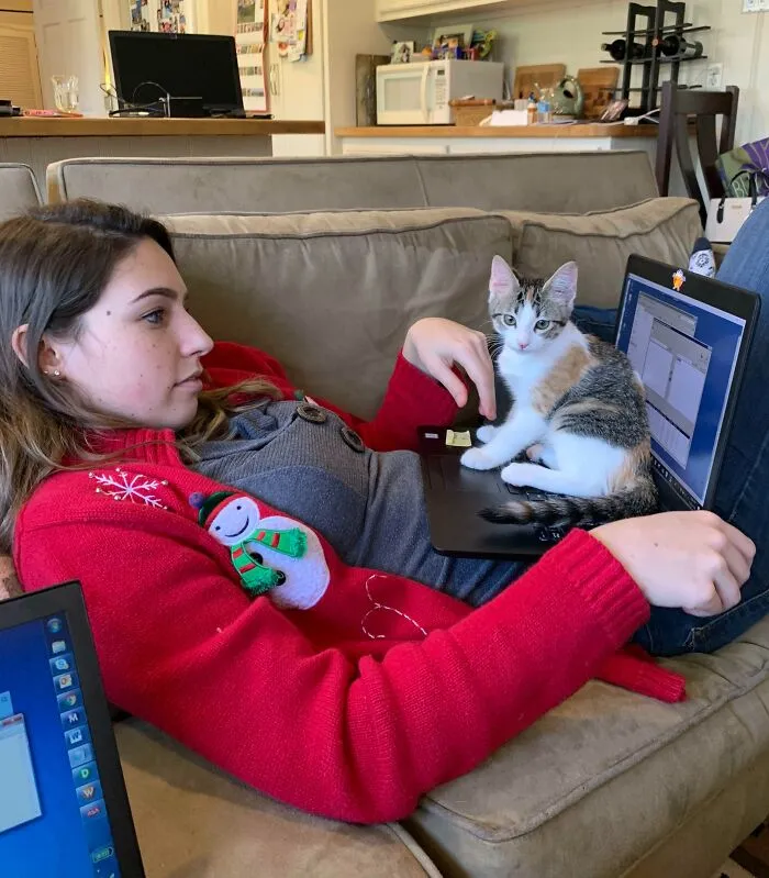 The GF Thought She Could Work From Home Today