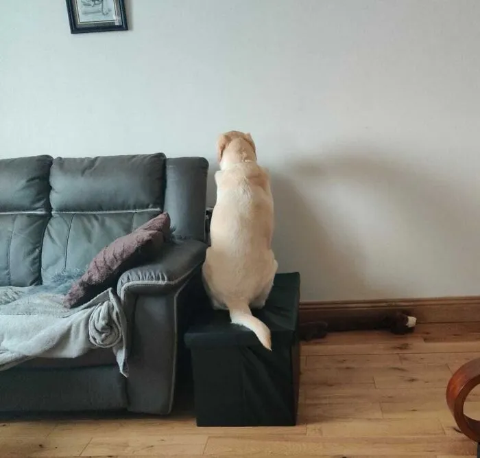 I Am Being Guilt Tripped Because I Cannot Play And Need To Work From Home. This Is High Level Manipulation