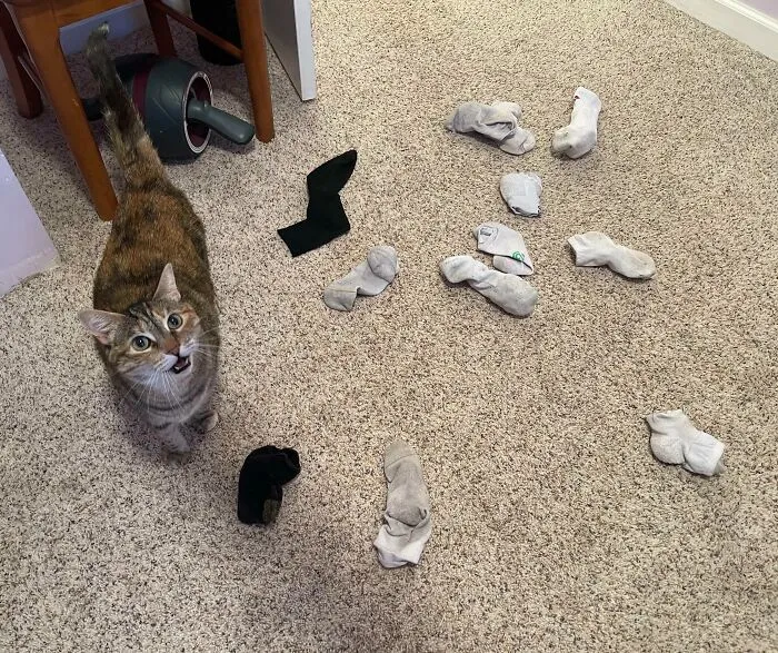This Is My Boyfriends Office He Works Out Of From Home. Here Are All Of The Socks She Brought Up From The Basement To The Third Floor For Him Today