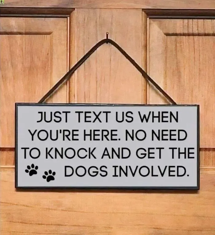 50 Times Dogs Were So Funny And Cute Owners Just Couldn’t Help But Share (New Pics)