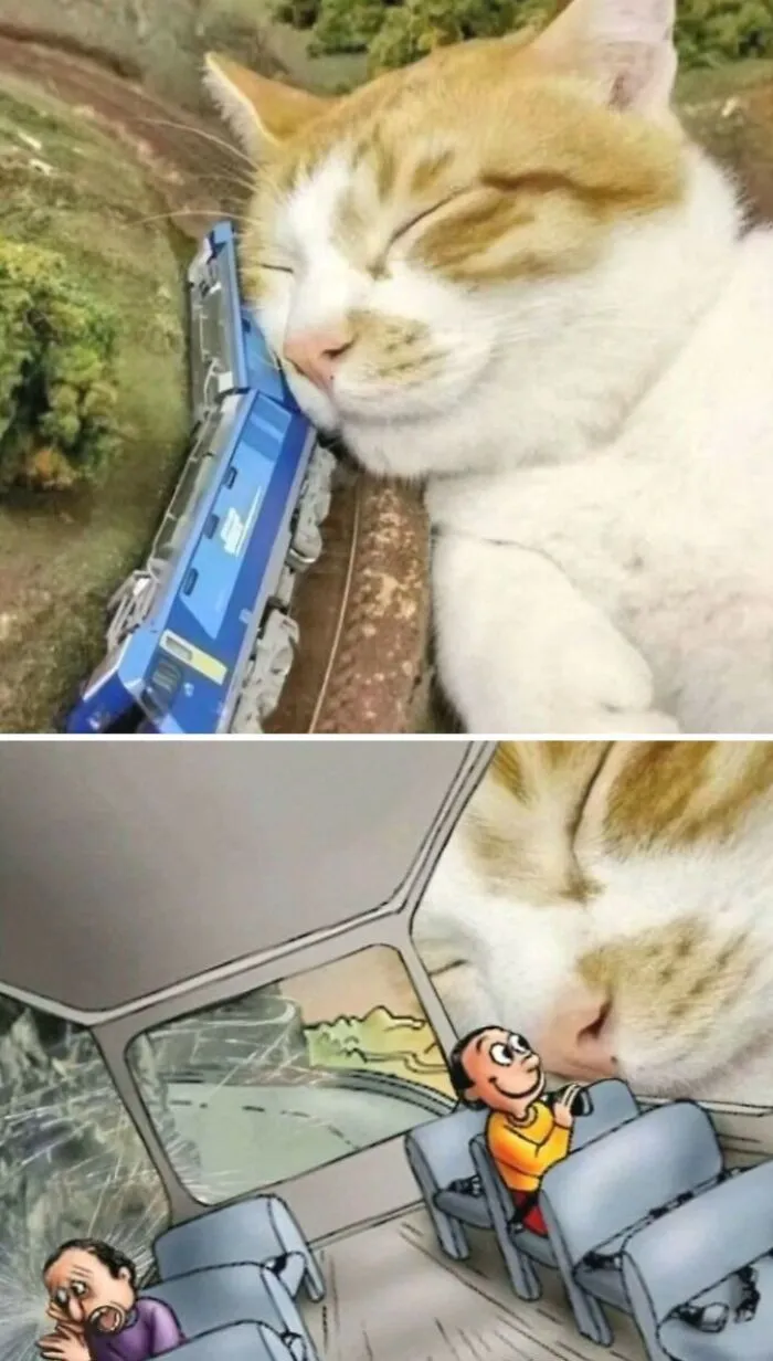 50 Hilarious Pictures Of Animals Going Off The Rails And Full “Goblin Mode” (New Pics)