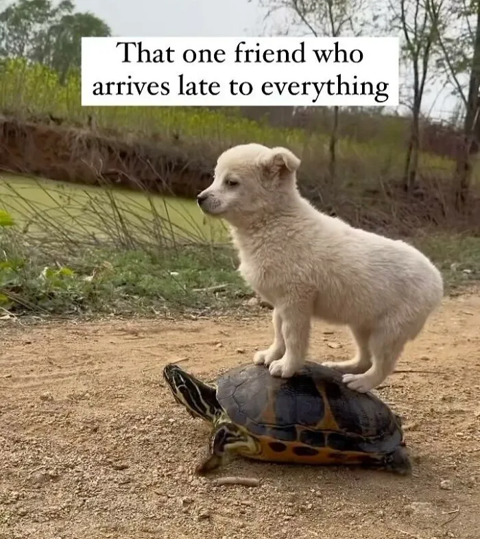 50 Hilariously Relatable Memes That You Might Want To Spam Your Friends With (New Pics)