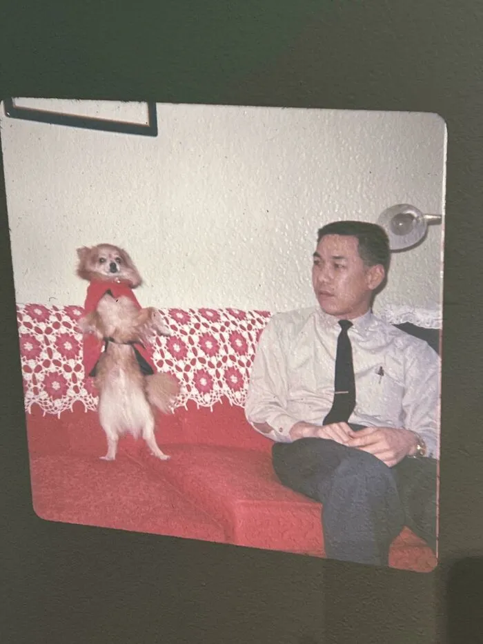 Bought A Vintage Slide Projector And It Came With Slides From The 1960's