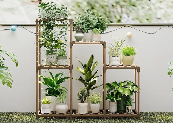 Your Plant Babies Are About To Have Their Own Little Stadium Seating Arrangement, Soaking Up The Sun And Looking Chic Af On This <a Style="Display:inline;" Href="Https://Www.amazon.com/Bamworld-Indoor-Multiple-Upgrade-Mulitiple/Dp/B0cldgjypr?pd_rd_w=cpkrr&content-ID=amzn1.sym.fef9af56-6177-46e9-8710-A5293a68dd39&pf_rd_p=fef9af56-6177-46e9-8710-A5293a68dd39&pf_rd_r=q5trhkq24mmvdwfb85qp&pd_rd_wg=ljj9w&pd_rd_r=2d91797e-66d7-460b-91e5-E58cf5bac3de&pd_rd_i=b09twr41w1&th=1&linkcode=ll1&tag=bpparrot-20&linkid=05449fe6c31b439907fe15ea87cfcfed&language=en_us&ref_=as_li_ss_tl" Target="_blank"><span Style="Font: Inherit; Color: #d74b1f;"> Tiered Plant Shelf </Span>