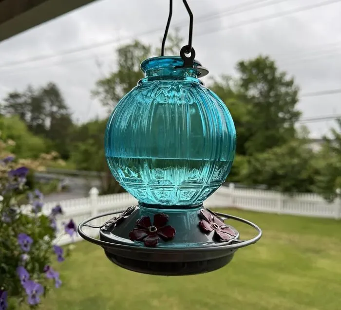 Prepare For Your Garden To Become The Most Popular Tiny Diner In The Neighborhood When You Hang Up This Elegant <a Style="Display:inline;" Href="Https://Www.amazon.com/Hummingbird-Outdoors-Hanging-Feeding-Backyard/Dp/B0d3d3t6z5?ie=utf8&th=1&linkcode=ll1&tag=bpparrot-20&linkid=dabb71e38ebadf369c4efe99567ea93e&language=en_us&ref_=as_li_ss_tl" Target="_blank"><span Style="Font: Inherit; Color: #d74b1f;"> Glass Hummingbird Feeder </Span>, Attracting All The Best Iridescent Clientele