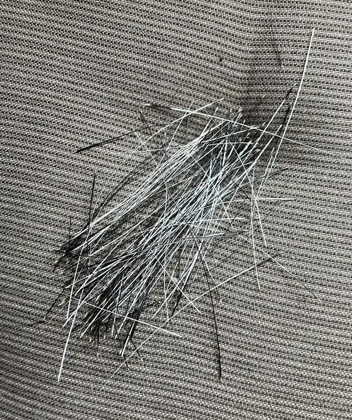 I Have 187 Cat Whiskers In My Collection