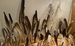 50 People Reveal Their Most Unusual Obsessions Turned Into Full-On Collections (New Pics)