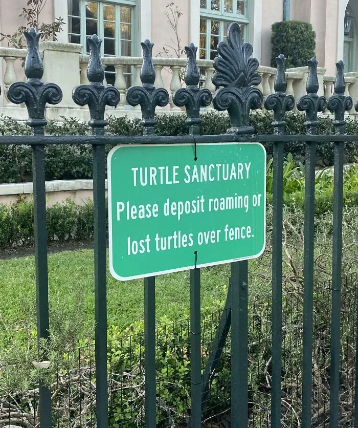 Santuario de tortugas: Por favor, deposite tortugas vagabundas o perdidas al otro lado de la valla