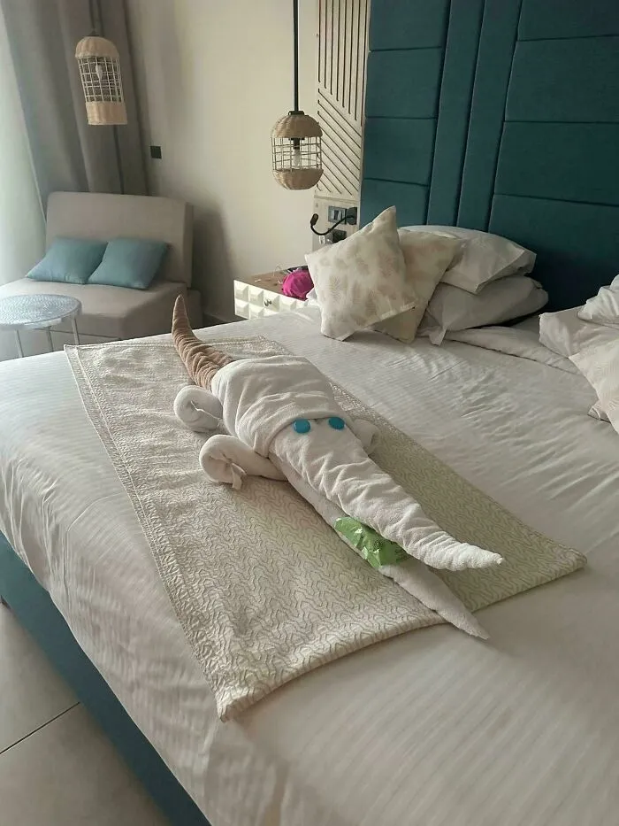A Crocodile Made Of Towels, Left By The Hotel Staff