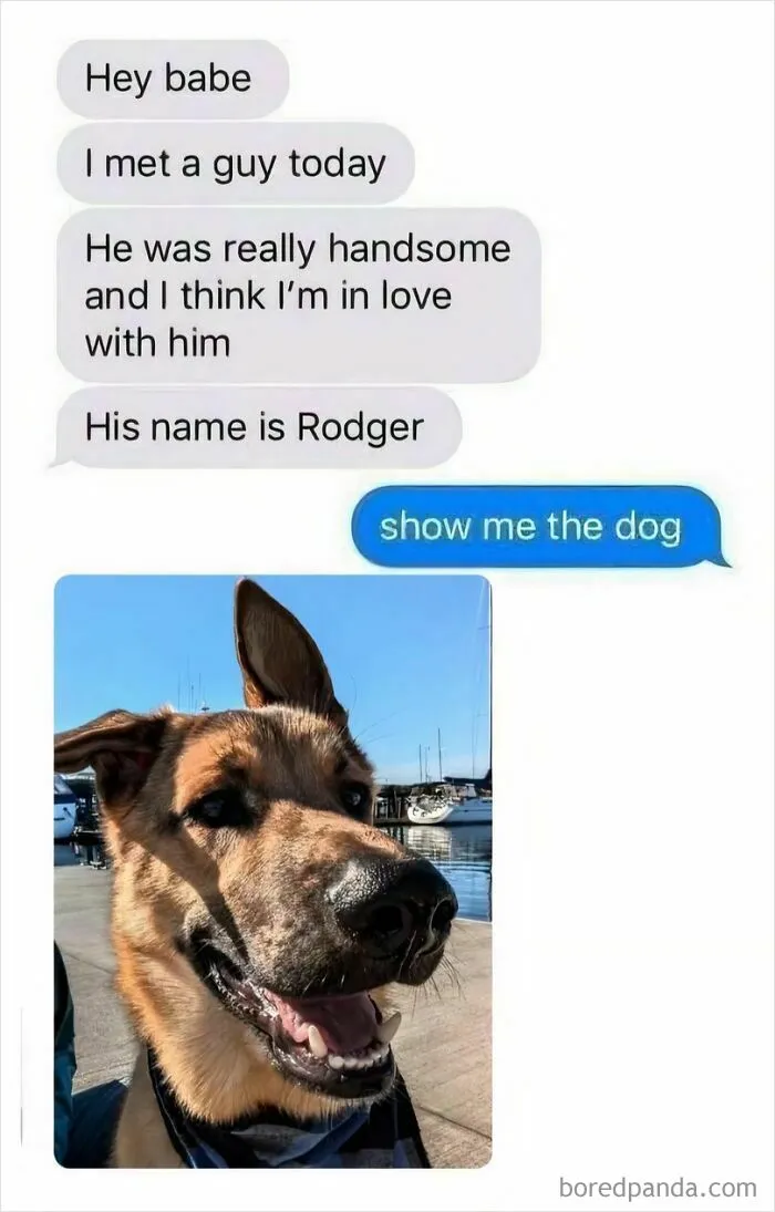 50 Funny Dog Memes That Are A True Ray Of Sunshine On A Tiring Day