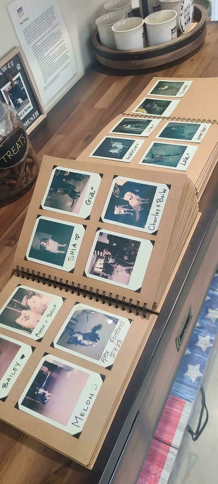 This Hotel Has A Polaroid Guestbook, But Just For The Dogs