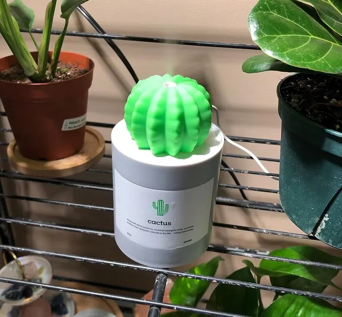 Your Mood And Your Sinuses Are About To Do A Happy Little Dance When This Ridiculously Cute <a Style="Display:inline;" Href="Https://Www.amazon.com/Amusend-Humidifier-Cactus-Bedroom-Shutdown/Dp/B076gy4j6p?ie=utf8&th=1&linkcode=ll1&tag=bpbison-20&linkid=5c0f1bb4f2af5a239a4d8d5847fb624e&language=en_us&ref_=as_li_ss_tl" Target="_blank"><span Style="Font: Inherit; Color: #d74b1f;"> Cactus Humidifier </Span> Starts Puffing Out Good Vibes And Moisture