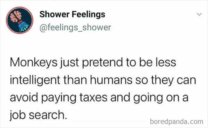 Screenshot of a humorous social media post from Shower Feelings offering a funny thought to occupy your brain while showering.