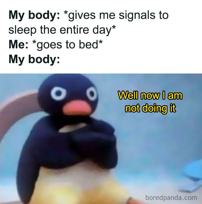 ‘The Daily Laughs’: 50 Ridiculously Good Memes To Improve Your Day