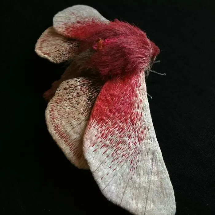 43 Incredible Hand-Sized Moths And Butterflies Made Out Of Fibers By Yumi Okita