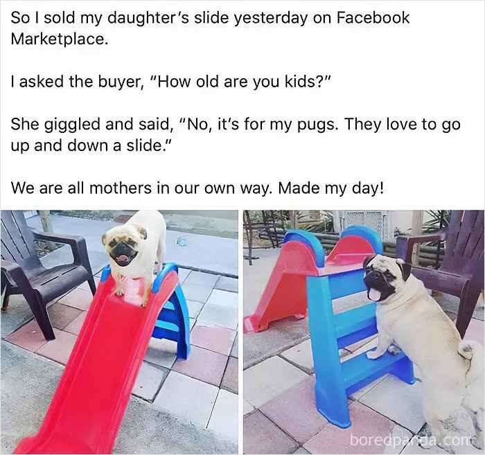 50 Memes That Might Make You Laugh So Hard You Forget What You Were Sad About