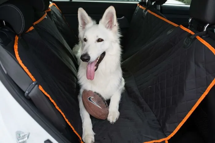 This <a Style="Display:inline;" Href="Https://Www.amazon.com/Dog-Car-Back-Seat-Cover--Protection/Dp/B078l2mwrn?ie=utf8&th=1&linkcode=ll1&tag=bppanther-20&linkid=ed09aeb9e62b5151a7f49de5ecf42de6&language=en_us&ref_=as_li_ss_tl" Target="_blank"><span Style="Font: Inherit; Color: #d74b1f;"> Backseat Pet Cover</Span> Means Your Car's Upholstery Won't Look Like It Hosted A Summer Music Festival For Shedding Dogs After Every Beach Trip Or Muddy Park Adventure