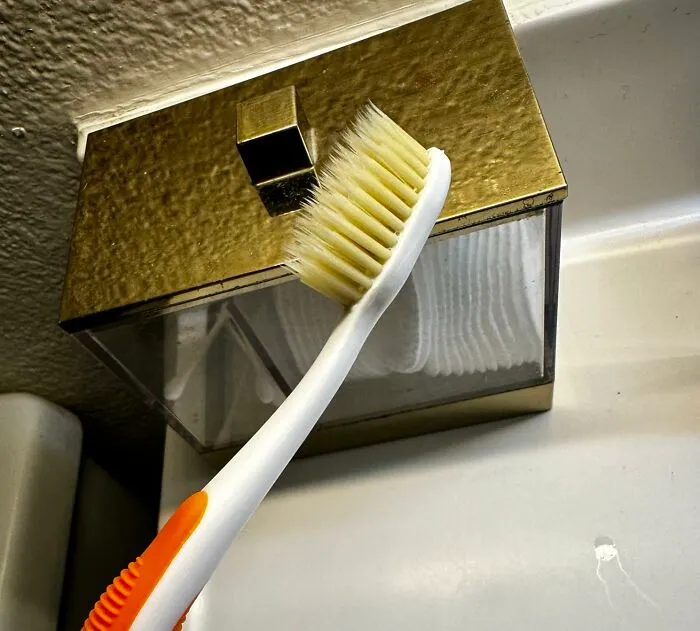 Upgrade Your Oral Hygiene Game And Feel Like You Just Left The Dentist With A Super Gentle <a Style="Display:inline;" Href="Https://Www.amazon.com/Plotkas-Mouthwatchers-Antimicrobial-Bristle-Toothbrush/Dp/B00afwpvuc?ie=utf8&linkcode=ll1&tag=bpgrape-20&linkid=82bfdddff8b3dcd1e69e4db10a088bb4&language=en_us&ref_=as_li_ss_tl" Target="_blank"><span Style="Font: Inherit; Color: #d74b1f;"> Soft Flossing Toothbrush </Span>