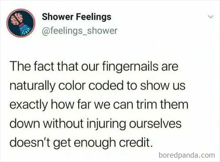 50 Thoughts You Might Not’ve Had In The Shower Yet But Could Occupy Your Brain Next Time You’re There